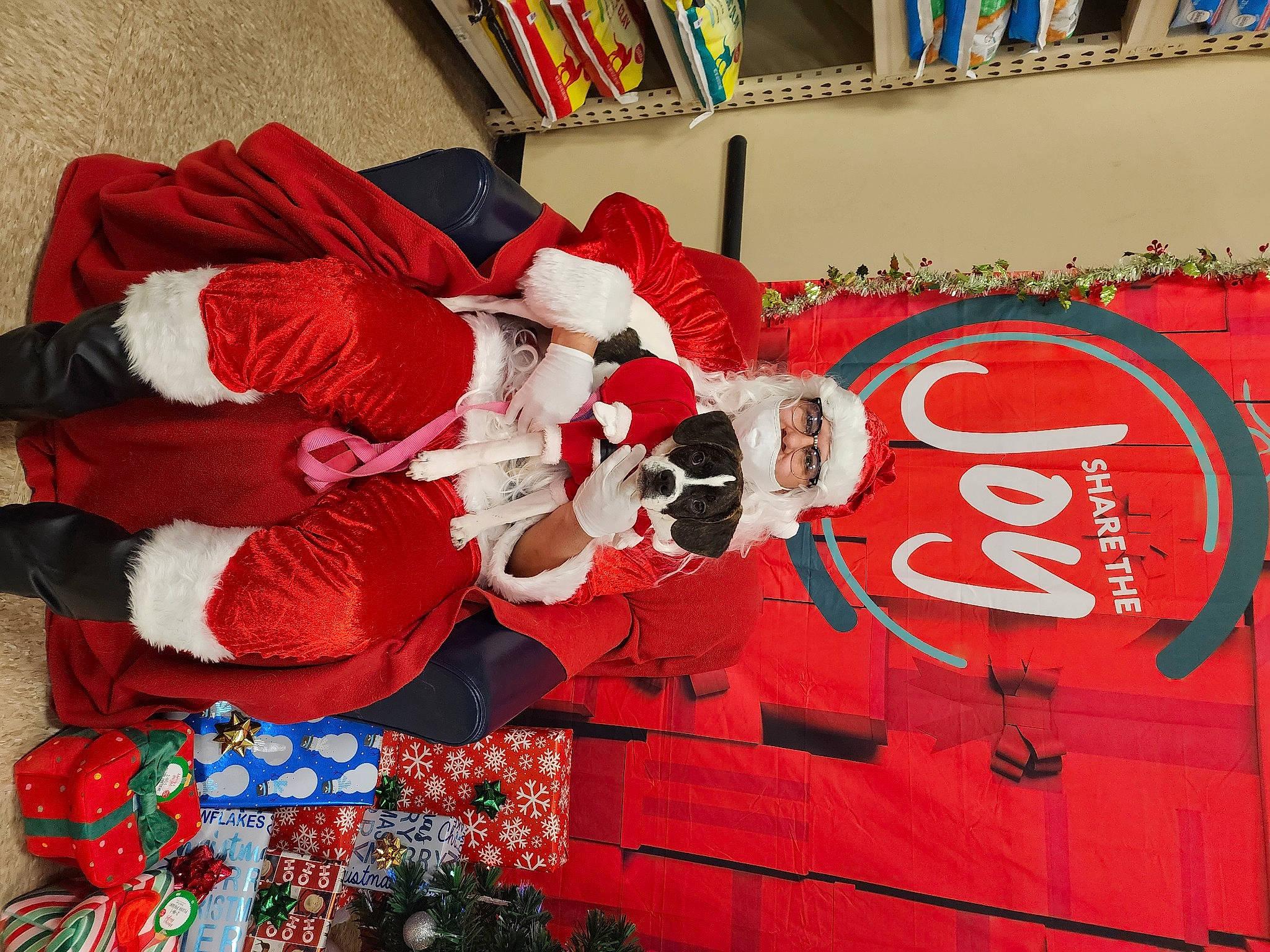 Buster is registered to the contest to win money with this photo: carbonated_soft_drinks, carmine, christmas, christmas_decoration, christmas_eve, event, fictional_character, flooring, font, holiday, pattern, plant, red, room, santa_claus, shelf, textile, tradition, tree, window