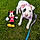 Puppup