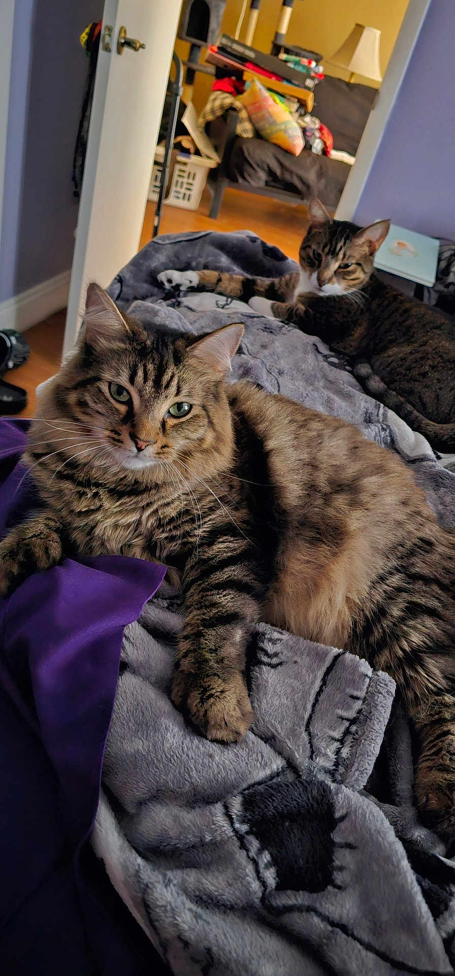 Poofy