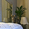 cat, kitten, feline, fluffy, tabby, striped, pet, animal, sitting, bed, bedroom, mirror, reflection, houseplant, leaves, lamps, lamp_shade, curtains, indoors, portrait