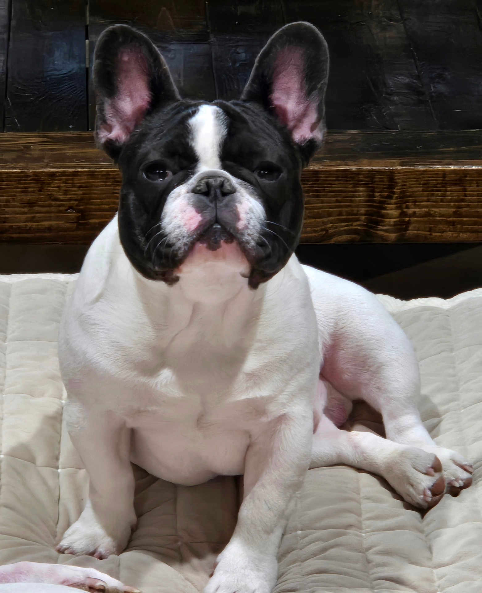 Milo