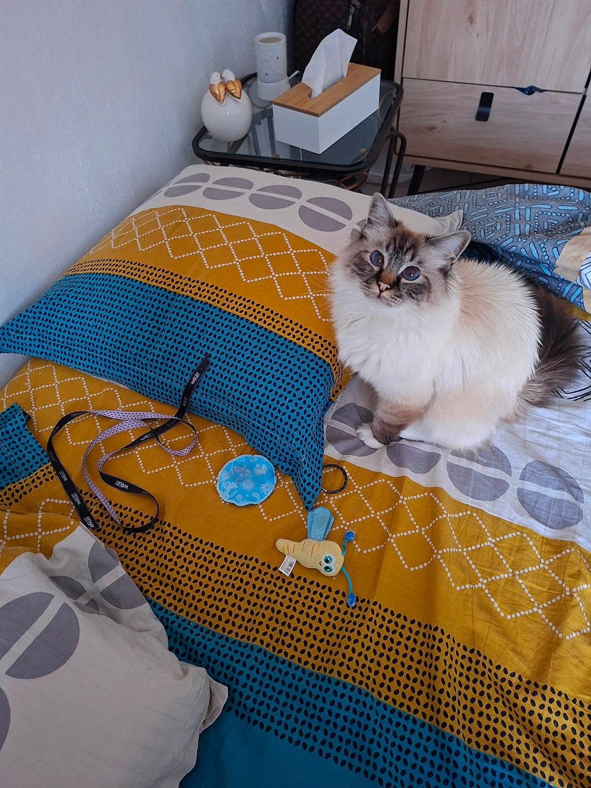 Milo