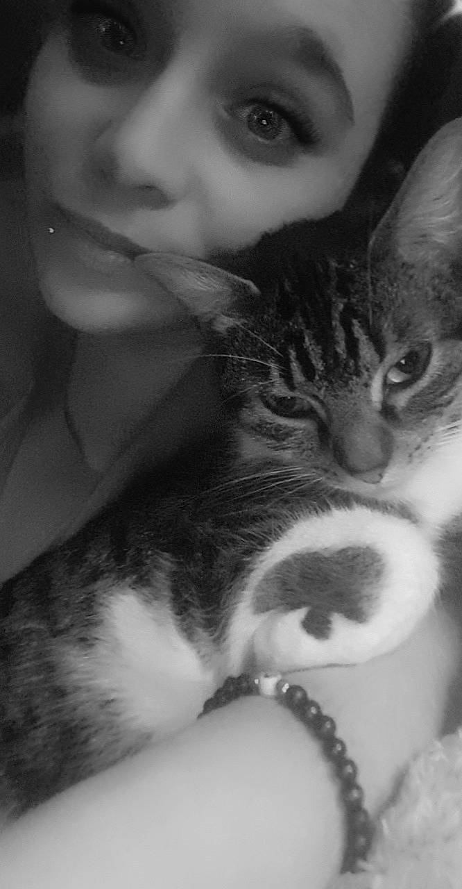 Gribouille participe au concours pour gagner de l'argent avec cette photo : beauty, black_and_white, carnivore, cat, cheek, domestic_short_haired_cat, ear, european_shorthair, eye, felidae, fur, kitten, monochrome, nose, organ, photography, skin, small_to_medium_sized_cats, snout, whiskers