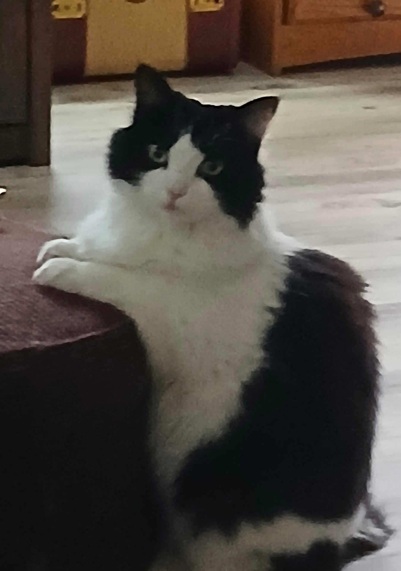 Sammie