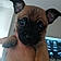 Bruno