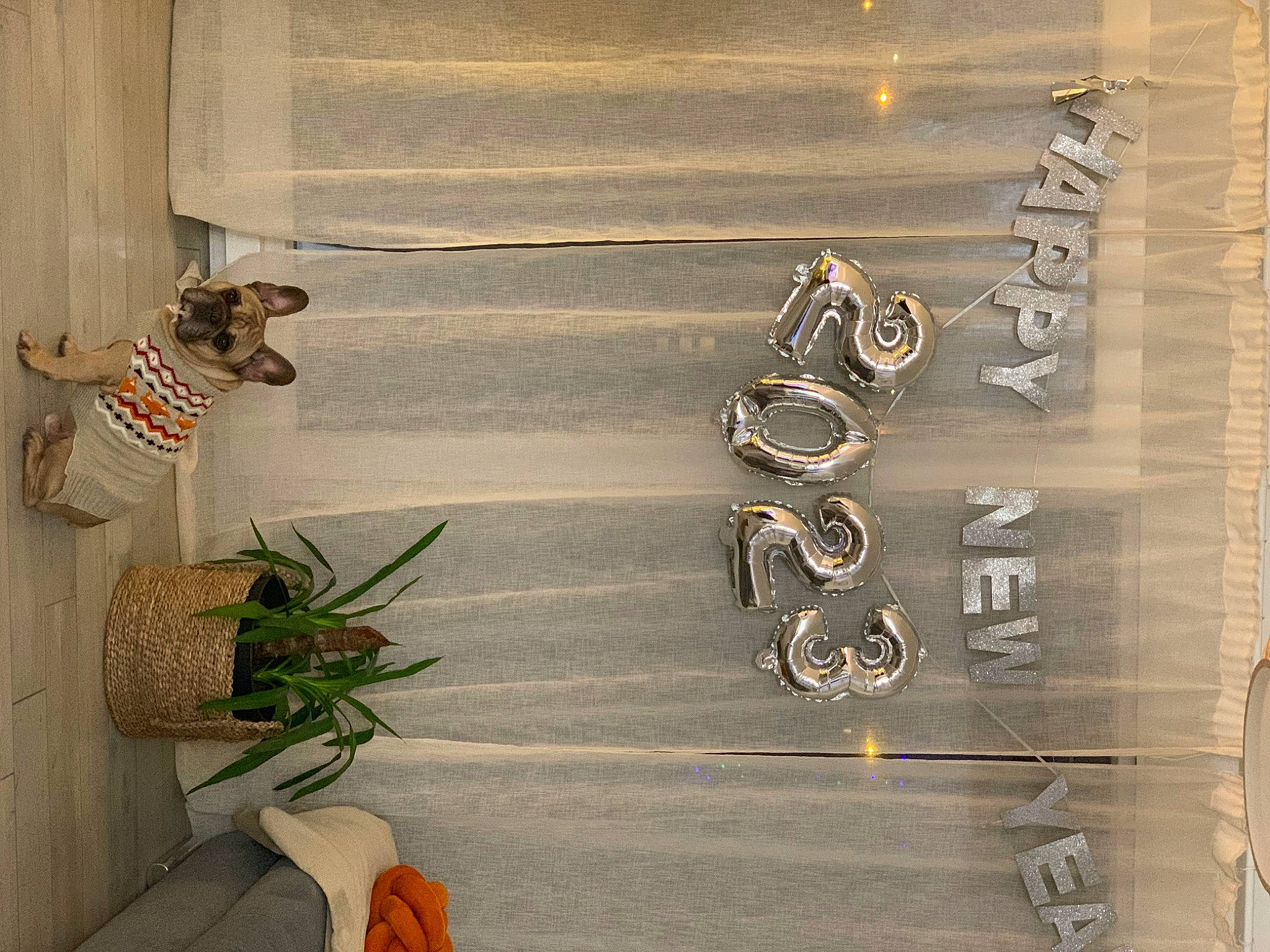 Baloo a rejoint le concours — aidez-le/la à gagner de superbes lots ! art, automotive_tire, circle, dog, door, facade, fashion_accessory, flooring, floral_design, flower, flower_arranging, font, metal, plant, symbol, tail, tints_and_shades, twig, visual_arts, wood