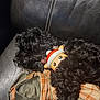 dog, black_dog, toy, reindeer_toy, couch, leather_couch, plaid_blanket, jacket, indoor, cozy, sleeping, curled_up, pet, fur, resting, animal, cute, snug, close_up, relaxing