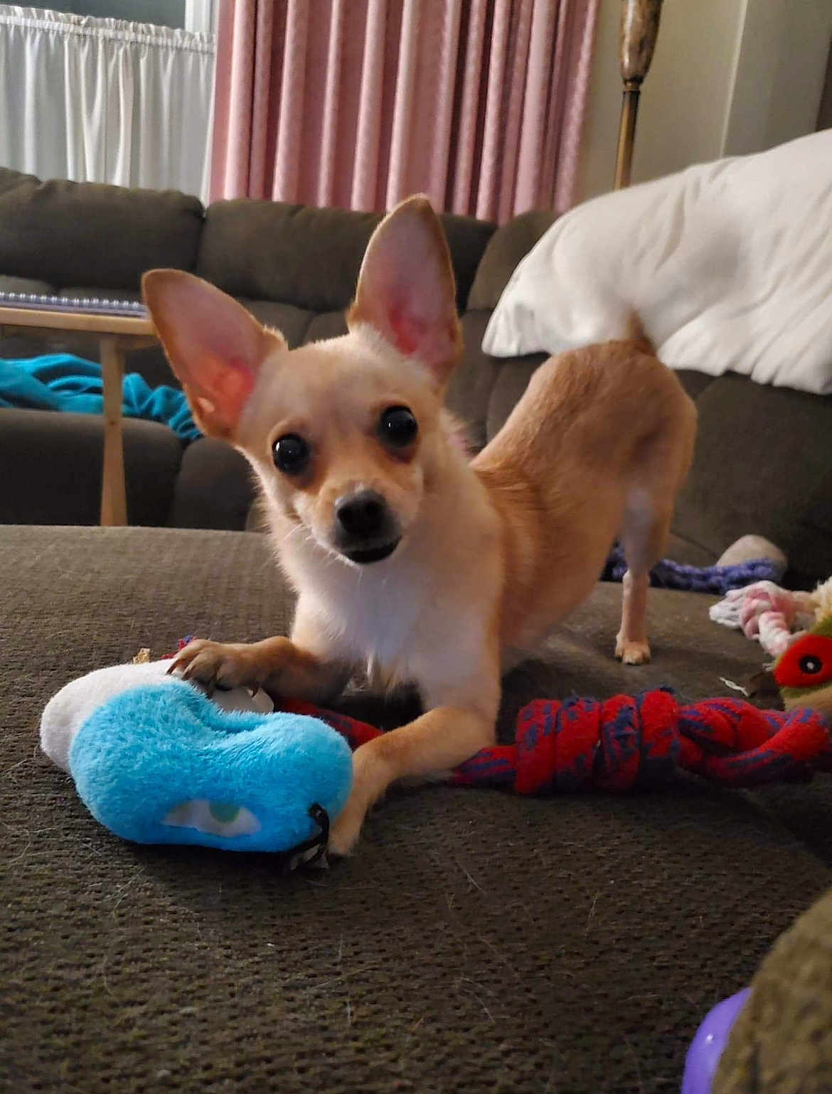 Elsa