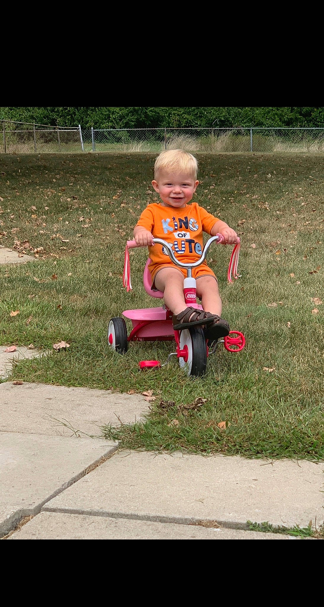 Korbyn joined the competition — help win amazing prizes! child, fun, grass, joy, person, play, recreation, riding_toy, toddler, tricycle, vehicle
