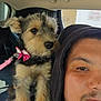 puppy, dog, person, hoodie, car_interior, seat, seatbelt, leash, pink_bow, fur, pet, closeup, portrait, companion, transportation, window, calm, indoors, young_dog, black_clothing