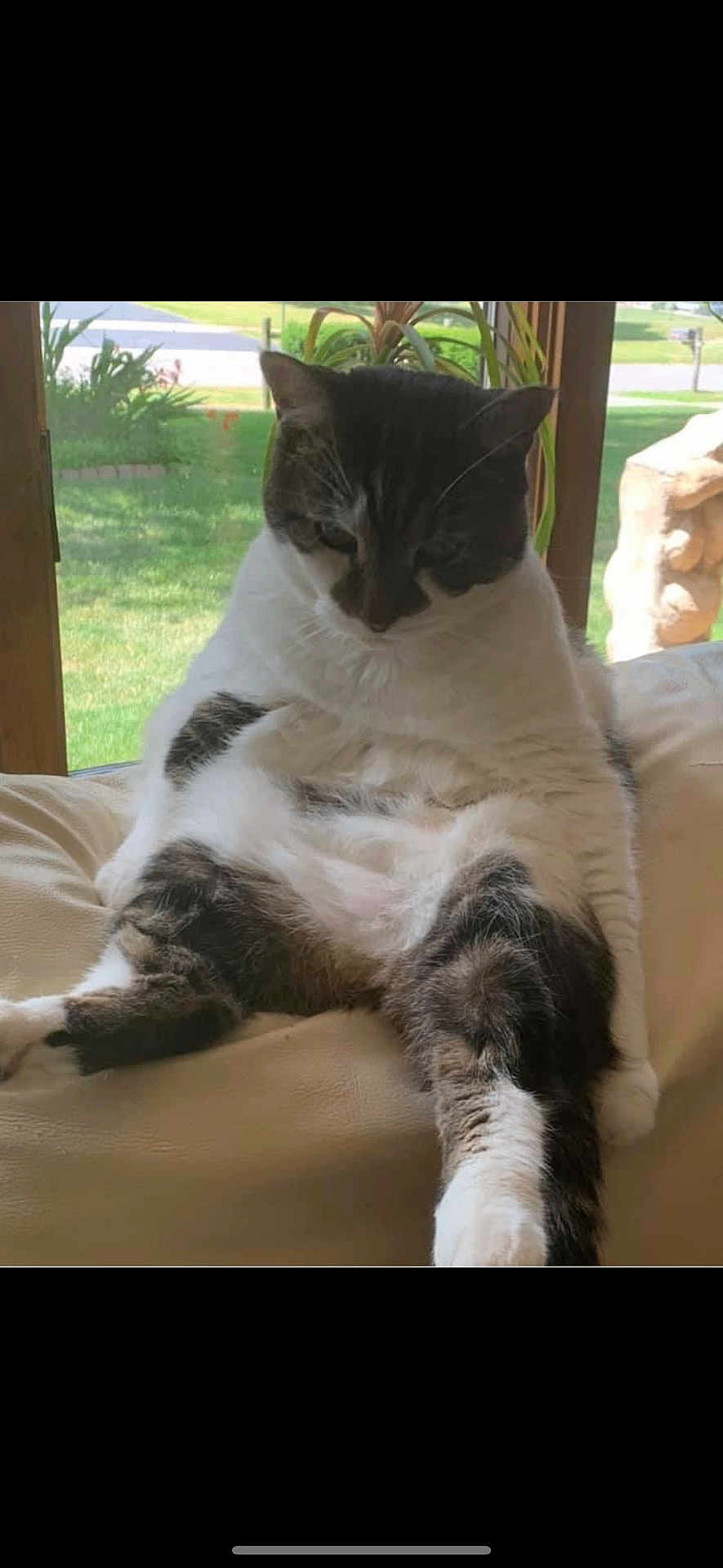 Pretzel