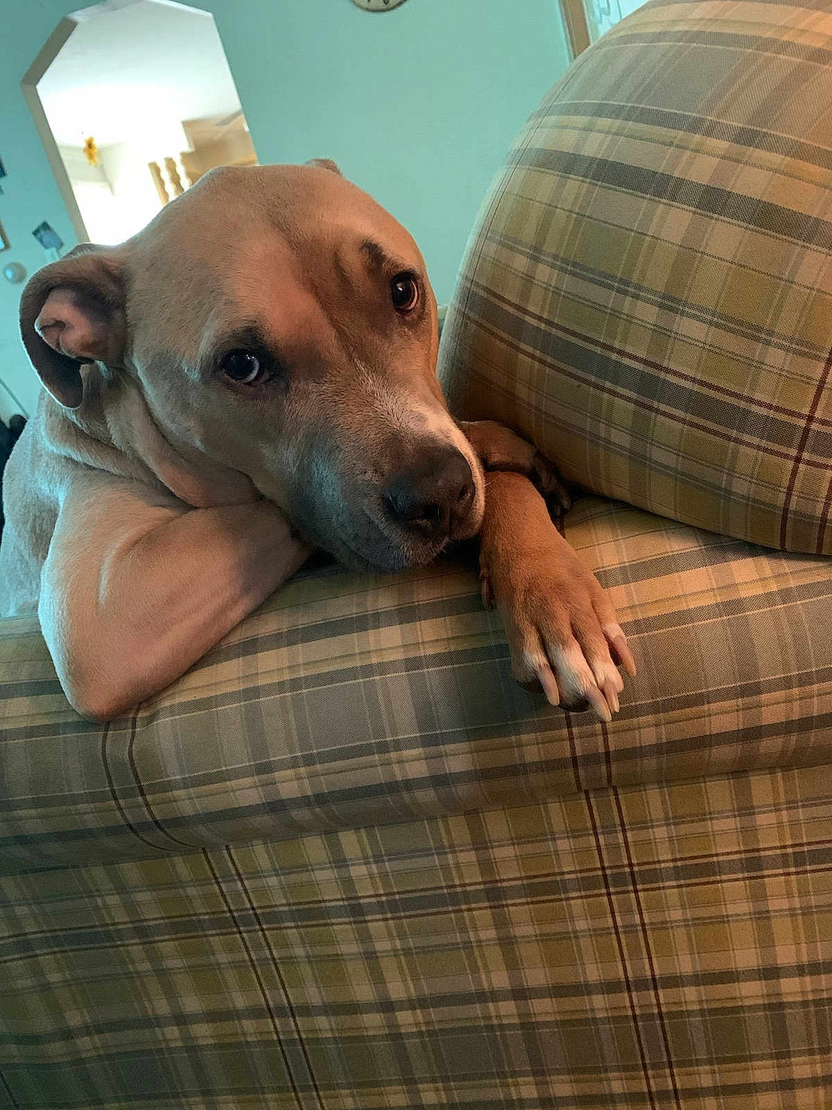 Buster