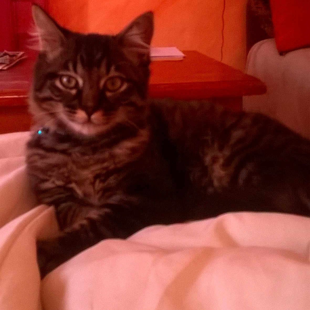 Lindt a rejoint le concours — aidez-le/la à gagner de superbes lots !