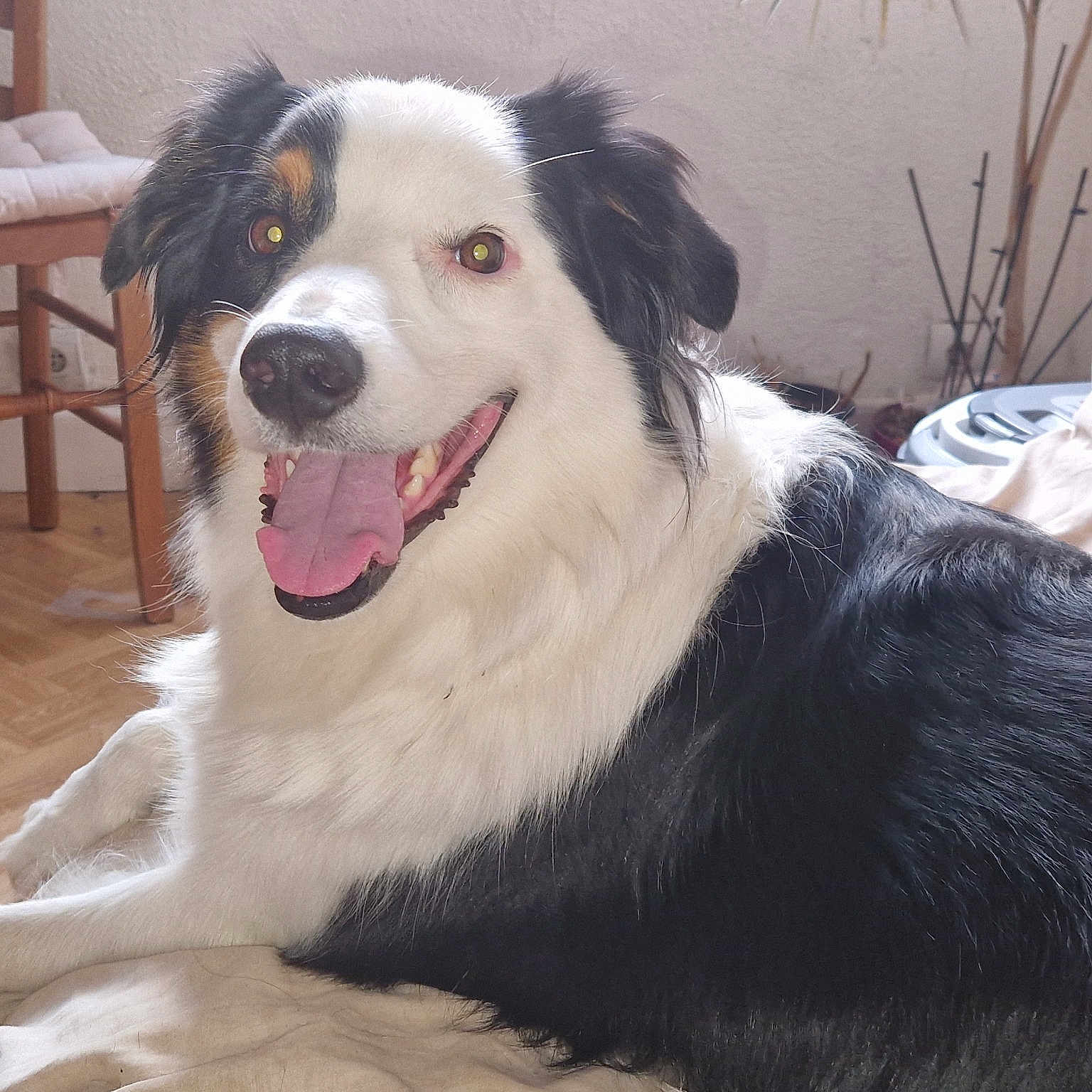 Kaya