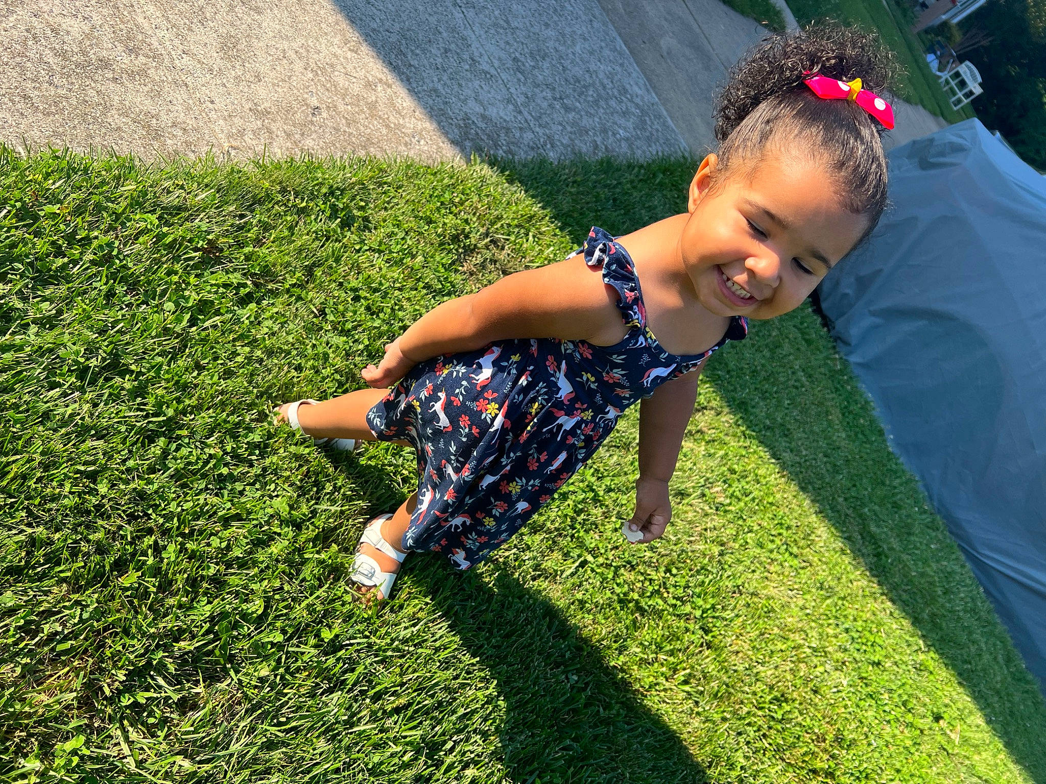 Leilanni is registered to the contest to win money with this photo: barefoot, child, dress, electric_blue, flooring, fun, garden, grass, grass_family, grassland, happy, joy, lawn, leisure, people_in_nature, person, plant, recreation, shadow, smile
