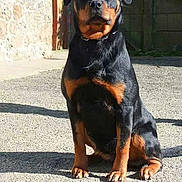 Hastride participe au concours pour gagner de l'argent avec cette photo :