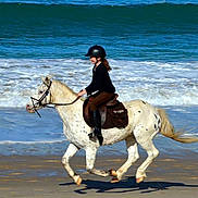 Ned Lad a rejoint le concours — aidez-le/la à gagner de superbes lots !