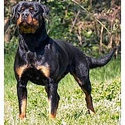 Iper Kool participe au concours pour gagner de l'argent avec cette photo :