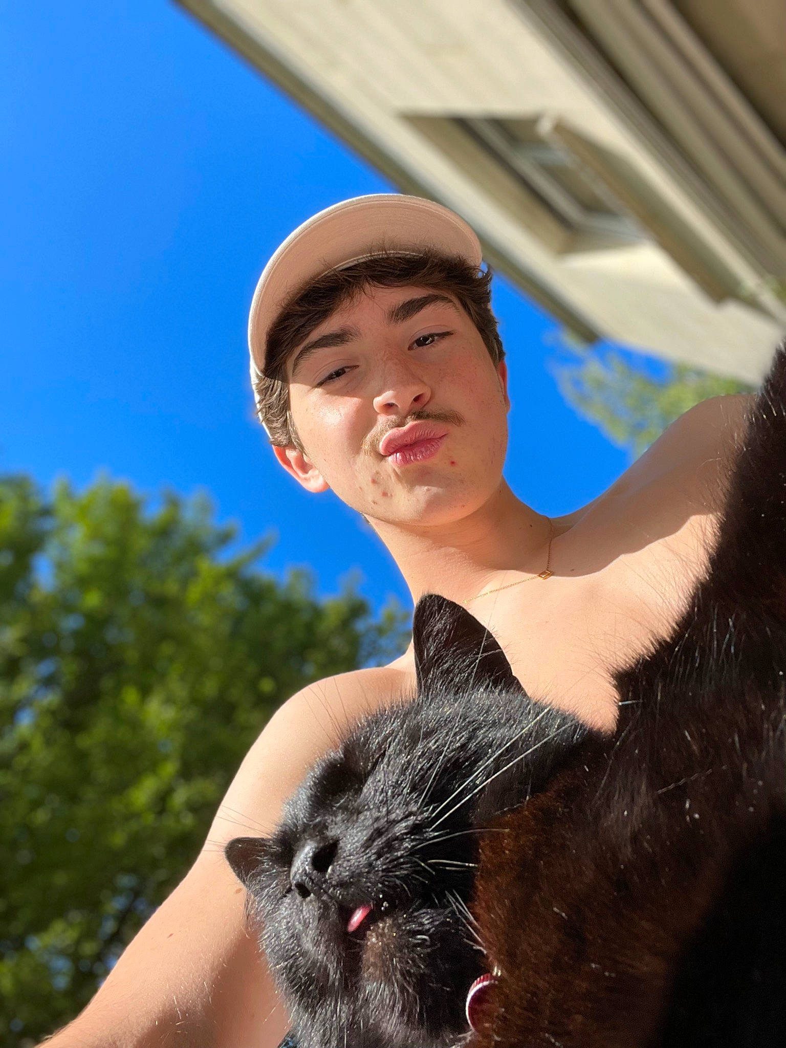 Pablo participe au concours pour gagner de l'argent avec cette photo : barechested, cap, carnivore, cat, fawn, felidae, flash_photography, happy, hat, neck, shoulder, skin, sky, small_to_medium_sized_cats, snout, sun_hat, sunglasses, tree, trunk, whiskers