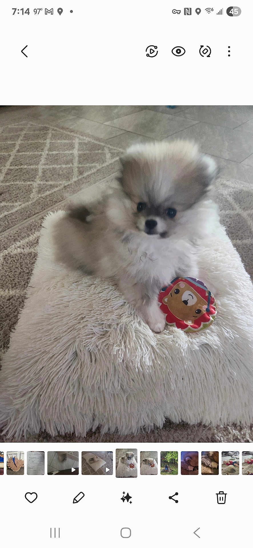 Bella