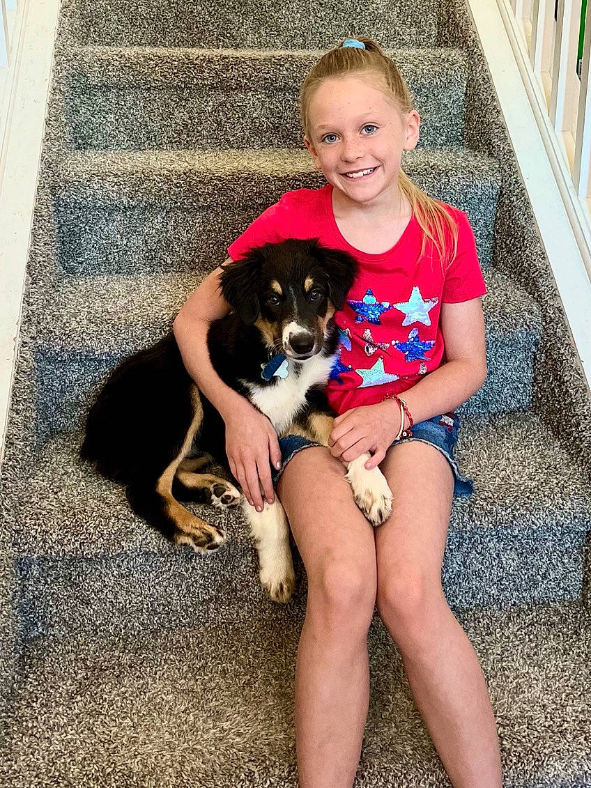 Kennedy joined the competition — help win amazing prizes! carnivore, comfort, companion_dog, dog, dog_breed, eye, fawn, fun, happy, human_body, human_leg, joy, lap, leg, leisure, person, sitting, smile, sporting_group, t_shirt