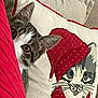 Kittie joined the competition — help win amazing prizes! cat, cozy, curious, cute, decorative_pillow, ears, embroidered_pillow, eyes, fabric_texture, festive, home_decor, indoors, peeking, pet, red_cushion, red_hat, red_scarf, soft_furnishing, tabby_cat, whiskers