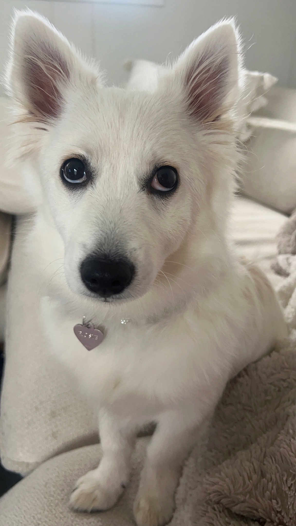 Rosie