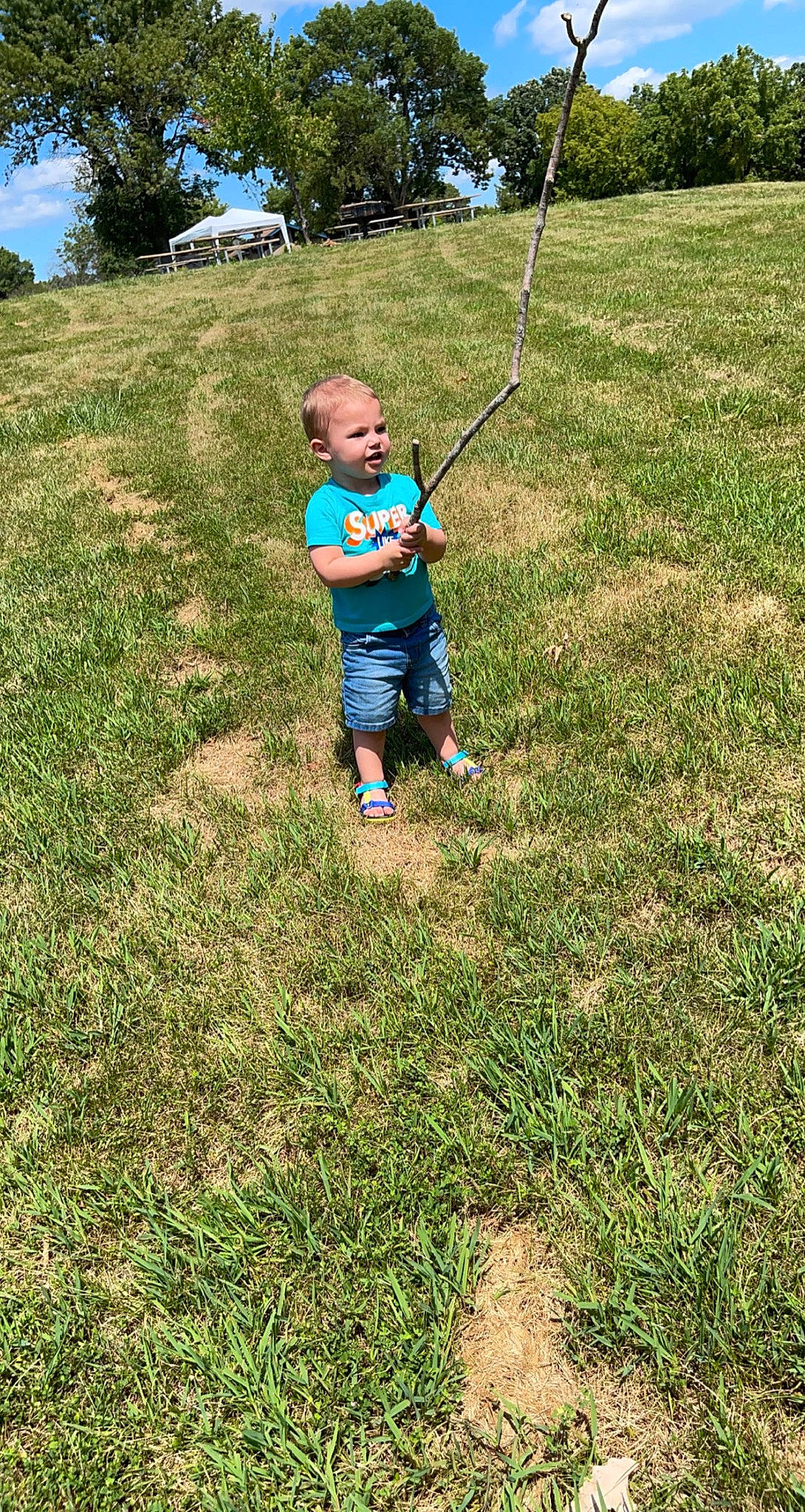 Kaiser is registered to the contest to win money with this photo: baby, child, electric_blue, field, fun, grass, grass_family, grassland, happy, landscape, lawn, leisure, meadow, people_in_nature, person, plant, recreation, soil, swing, toddler
