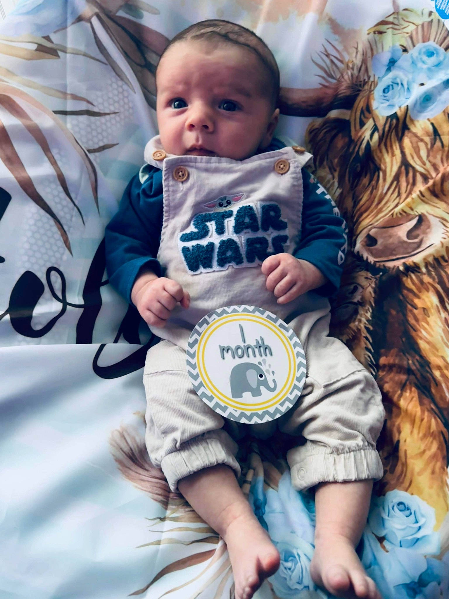 Uriah joined the competition — help win amazing prizes! baby, baby_products, baby_toddler_clothing, child, cool, electric_blue, event, facial_expression, flash_photography, fun, fur, gesture, hairstyle, happy, person, photograph, product, sleeve, standing, t_shirt