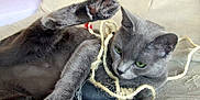 Gandhie participe au concours pour gagner de l'argent avec cette photo :
