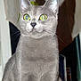 Gandhie participe au concours pour gagner de l'argent avec cette photo :