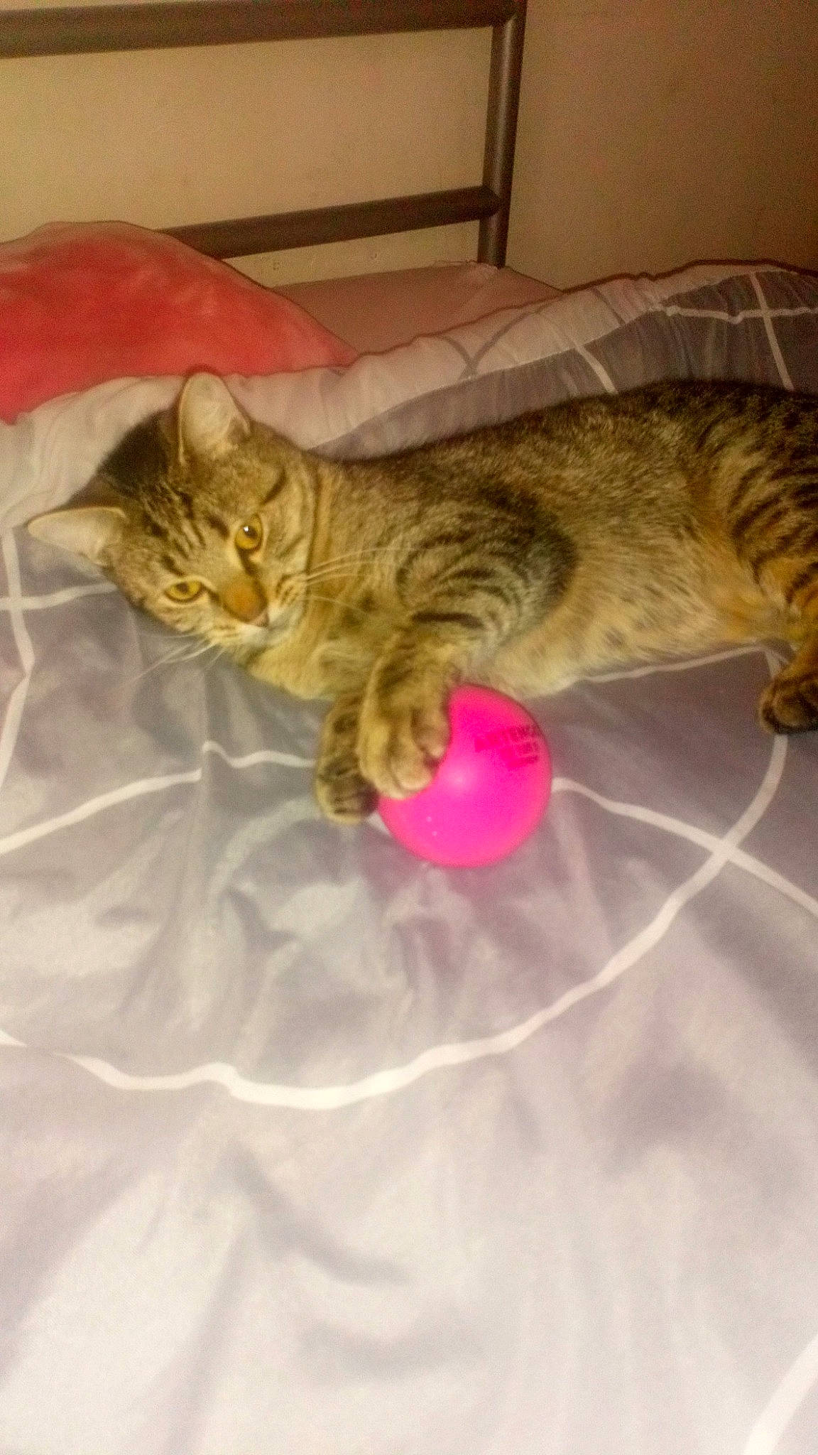 Louna