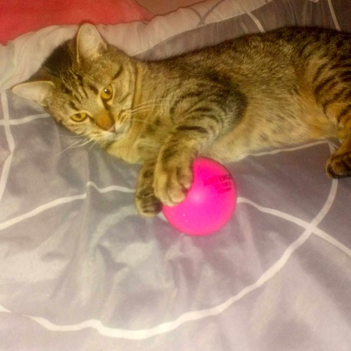 Louna