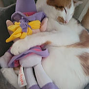 Kuybi a rejoint le concours — aidez-le/la à gagner de superbes lots ! cat, sleeping, plush_toy, stuffed_animal, orange_and_white_cat, cozy, cute, pet, domestic_cat, soft, snuggling, relaxing, indoor, feline, toy, purple_clothing, yellow_bow, close_up, resting, animal