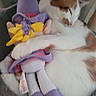 cat, sleeping, plush_toy, stuffed_animal, orange_and_white_cat, cozy, cute, pet, domestic_cat, soft, snuggling, relaxing, indoor, feline, toy, purple_clothing, yellow_bow, close_up, resting, animal