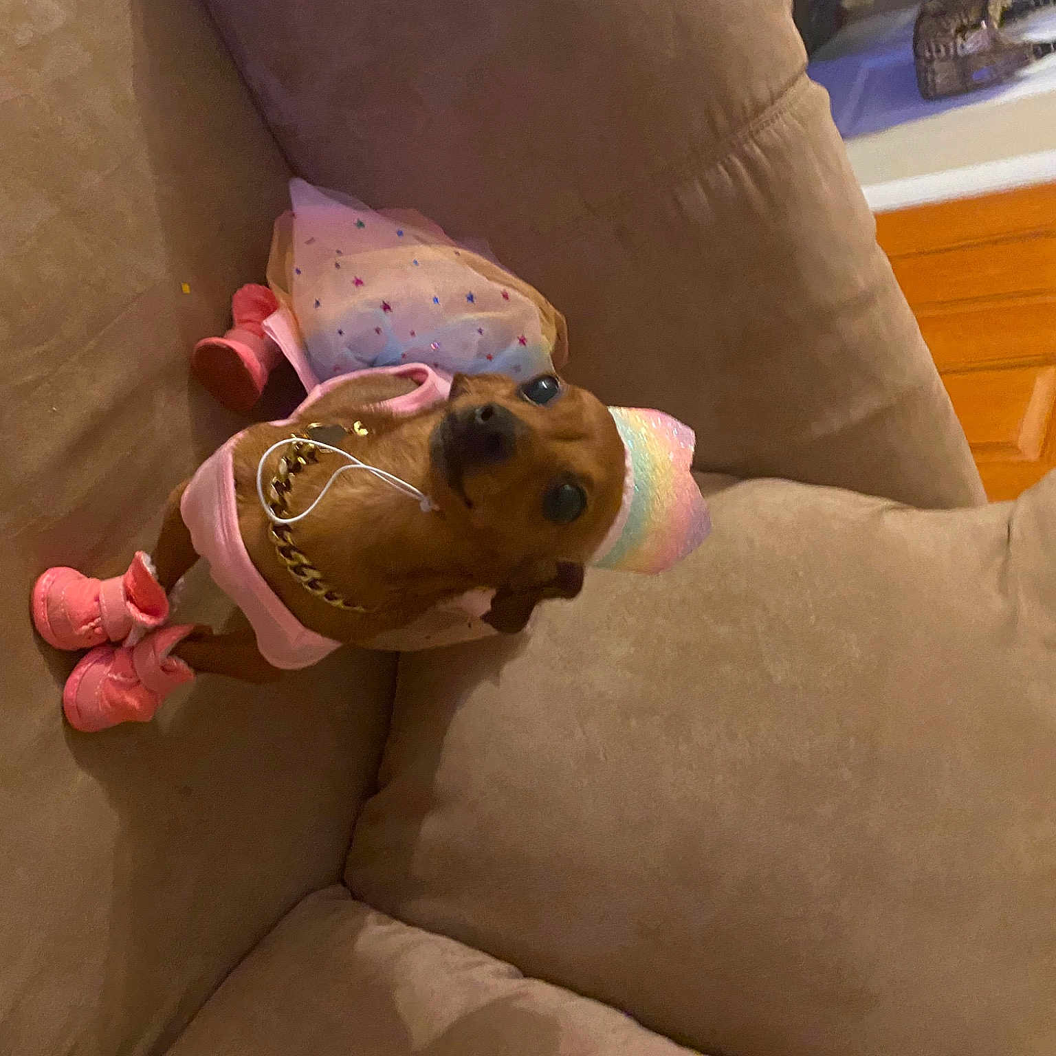 Princess