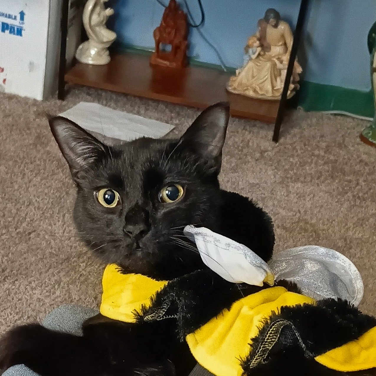 Castiel
