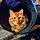Jonesy