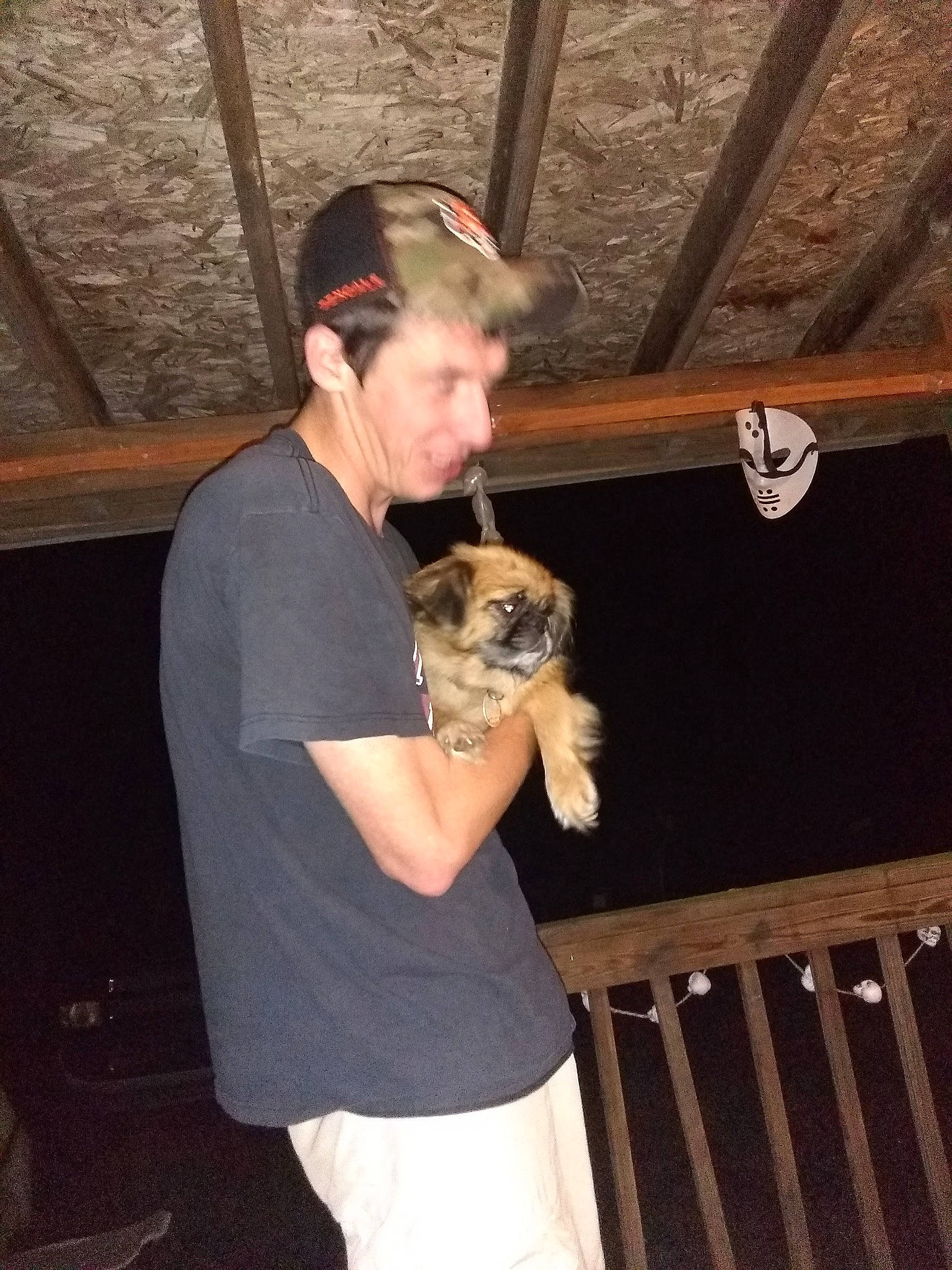 Sadie joined the competition — help win amazing prizes! baseball_cap, cap, carnivore, companion_dog, dog, dog_breed, elbow, fawn, flash_photography, fun, fur, t_shirt, wood, working_animal