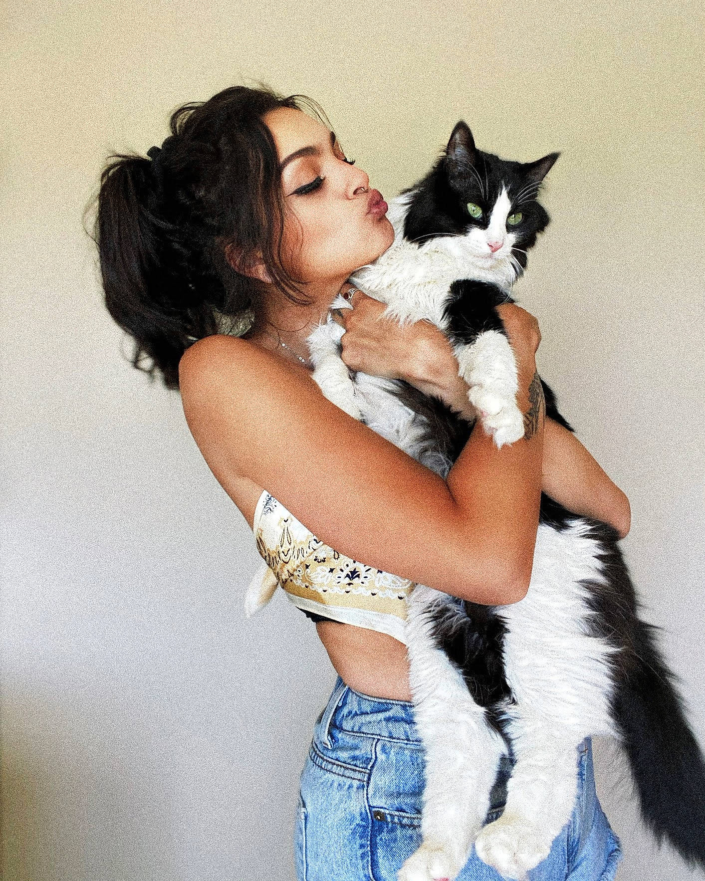 Jasper joined the competition — help win amazing prizes! black_hair, brown_hair, cat, eye, fashion_design, felidae, flash_photography, formal_wear, gesture, glove, hair, happy, head, long_hair, shoulder, small_to_medium_sized_cats, tail, thigh, trunk, whiskers