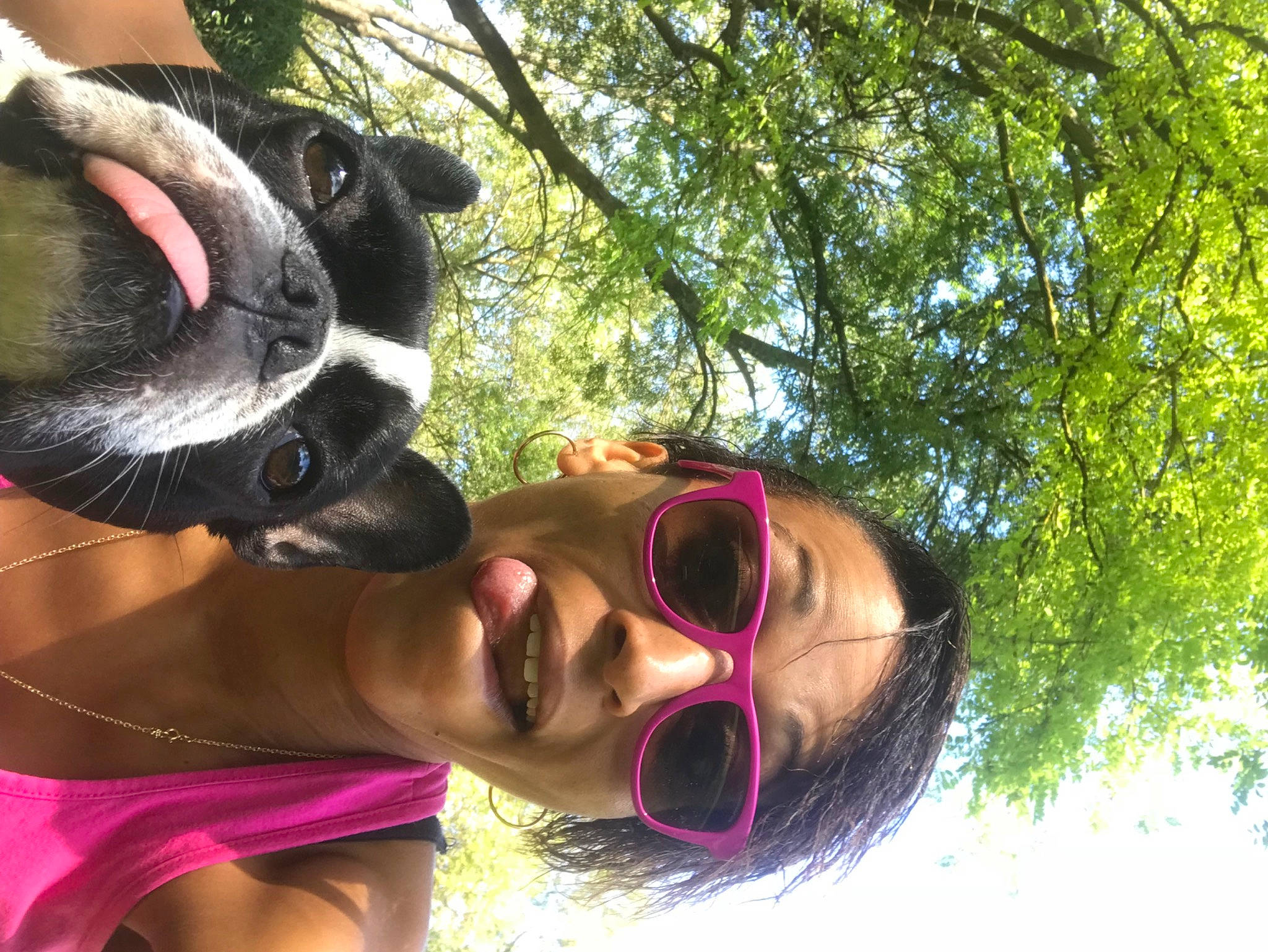 Iana a rejoint le concours — aidez-le/la à gagner de superbes lots ! black_hair, botany, carnivore, cool, eyewear, fawn, fun, glasses, goggles, grass, green, happy, leisure, pink, plant, smile, snout, sunglasses, tree, vision_care