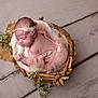 Mia participe au concours pour gagner de l'argent avec cette photo : newborn, baby, sleeping, pink_dress, headband, basket, wooden_floor, flowers, soft_fabric, cute, infant, delicate, peaceful, portrait, closeup, decorative, resting, toddler, child, indoors