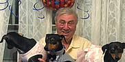 Duchess is registered to the contest to win money with this photo: man, dog, birthday_balloon, party, celebration, costume, tuxedo, pink_dress, curtains, tablecloth, indoor, smiling, decorations, small_dog, black_dog, brown_dog, hands, festive, happy, person