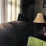 cat, black_cat, couch, living_room, lamp, curtains, sunlight, pillow, green_pillow, vase, indoor, furniture, shadow, home, relaxing, pet, animal, cozy, quiet, window