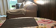Layla is registered to the contest to win money with this photo: cat, black_cat, living_room, sofa, window, curtains, table, tablecloth, floral_pattern, placemats, wood_paneling, sunlight, painting, artwork, keys, tissue, cushion, indoor, home, decor