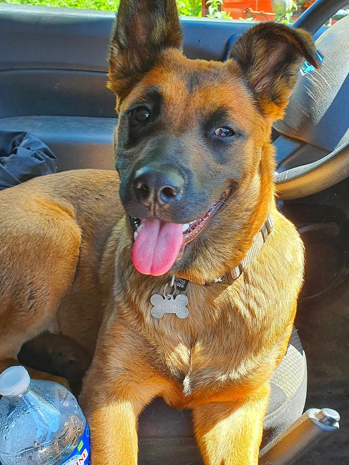 Rita