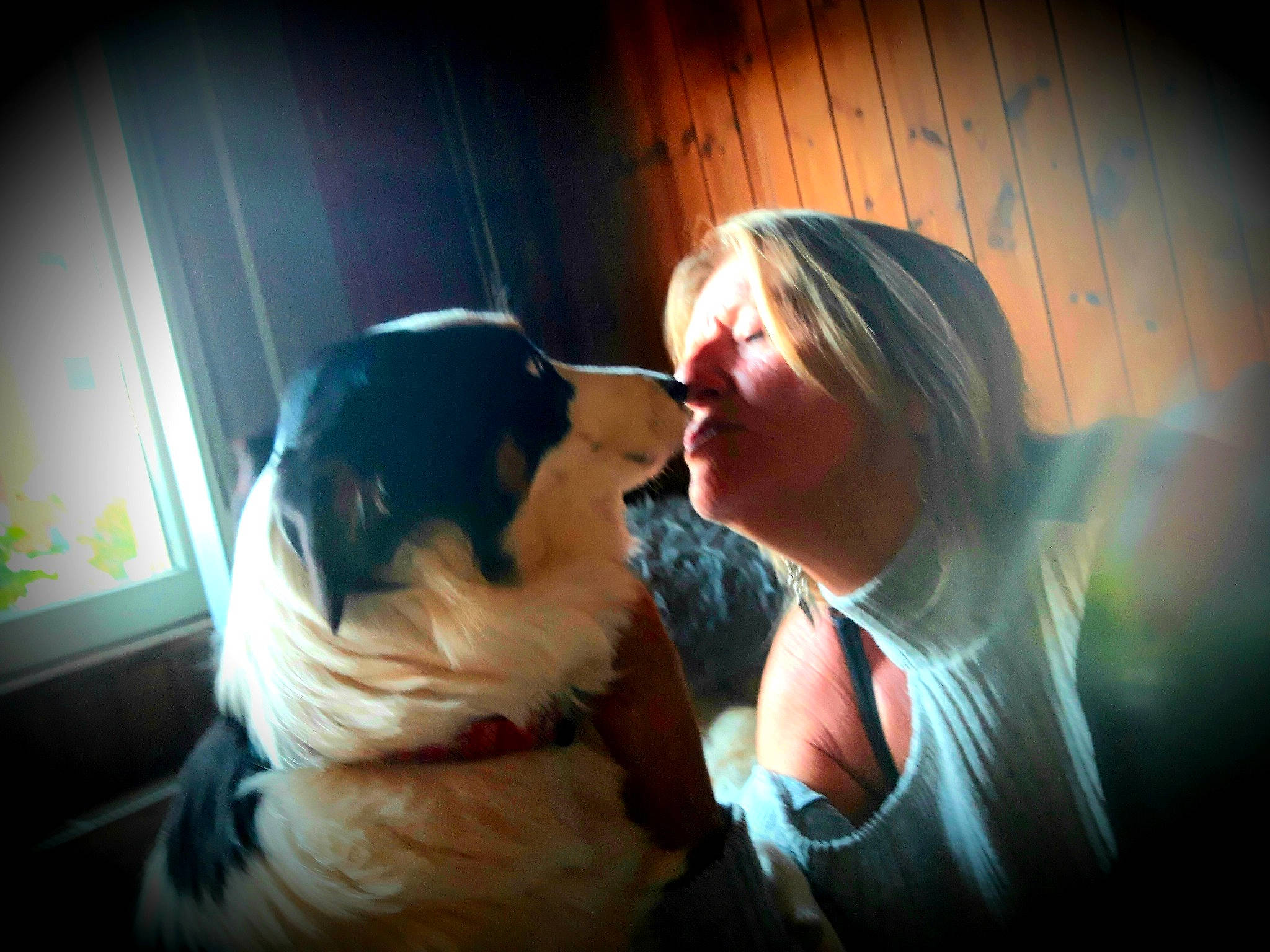 Chica a rejoint le concours — aidez-le/la à gagner de superbes lots ! canidae, carnivore, companion_dog, darkness, dog, dog_breed, event, eyewear, fawn, flash_photography, fun, fur, gesture, guard_dog, happy, love, sitting, smile, sporting_group, toy_dog