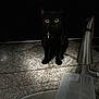 Crescent joined the competition — help win amazing prizes! black_cat, cat, animal, pet, countertop, kitchen, faucet, water, container, dark, night, indoor, curious, glowing_eyes, bell_collar, sink, granite_counter, shadow, mystery, still_life