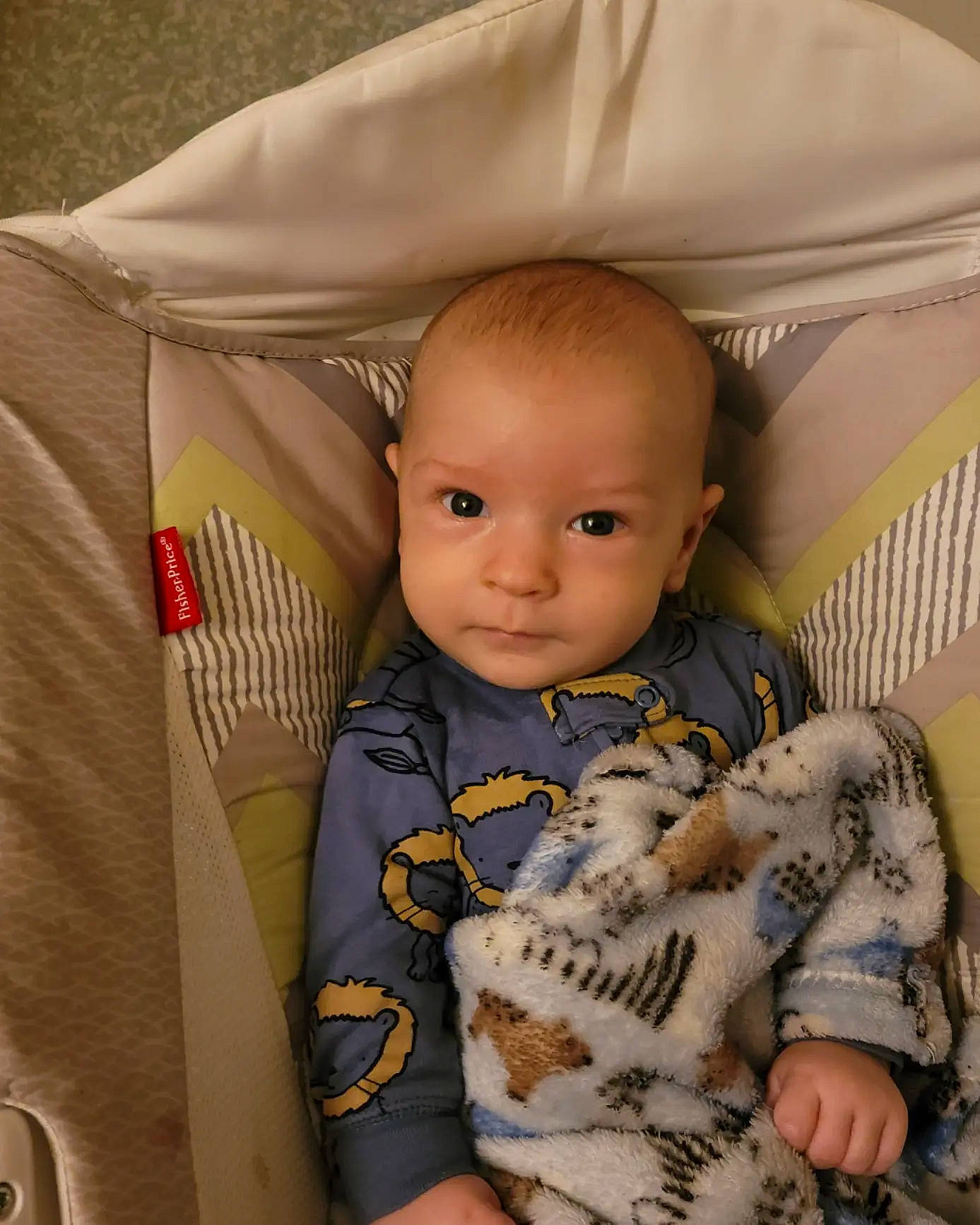Deklan is registered to the contest to win money with this photo: baby, baby_products, baby_safety, baby_toddler_clothing, baby_toys, bedding, car_seat, child, comfort, eye, felidae, infant_bed, linens, person, sitting, skin, sleeve, textile, toddler, white