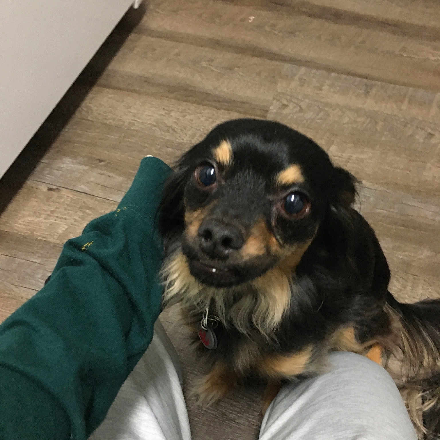 Obie